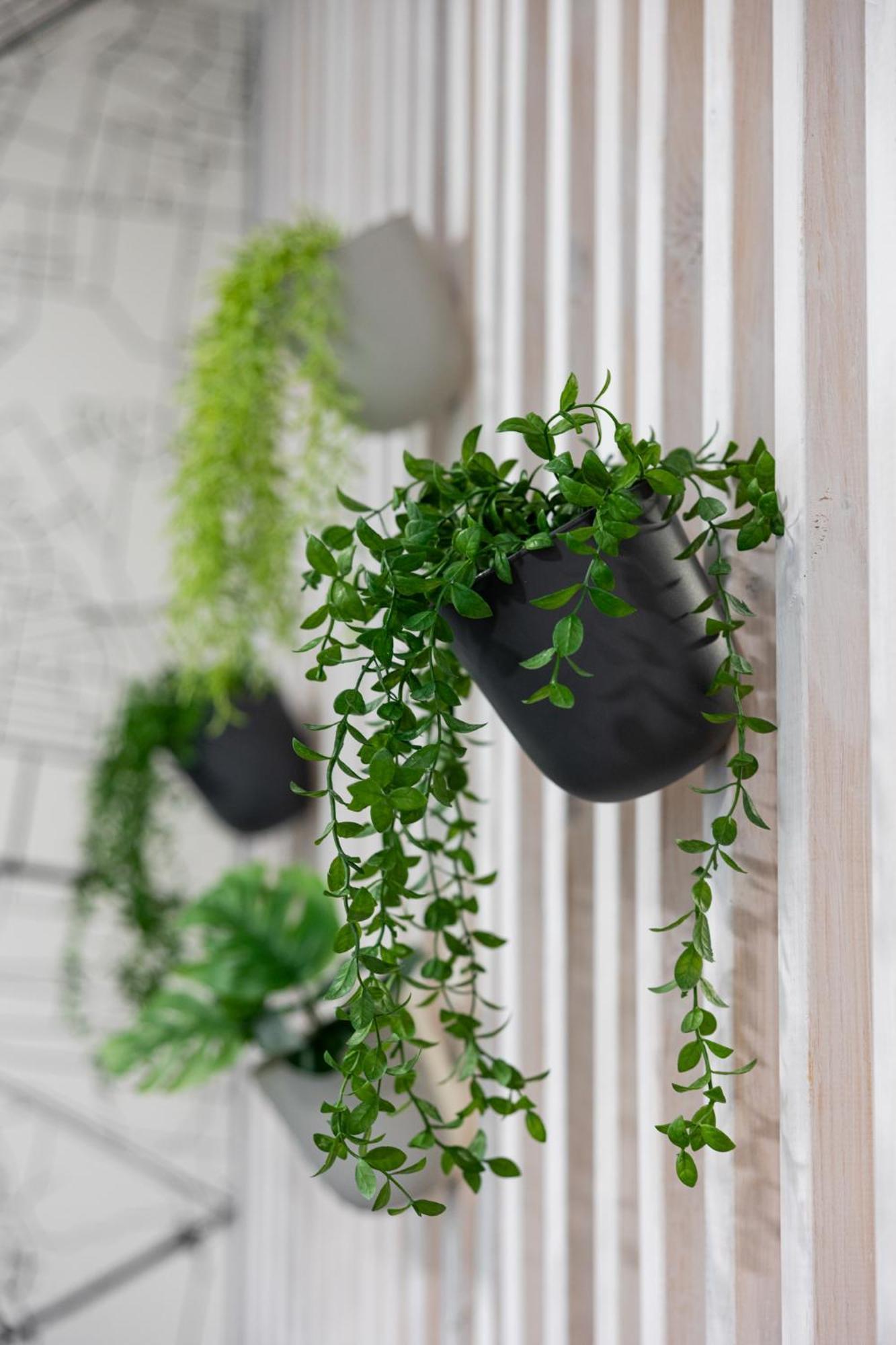 Sekwoja Rent - Malmeda 15 Διαμέρισμα Μπιάλιστοκ Εξωτερικό φωτογραφία